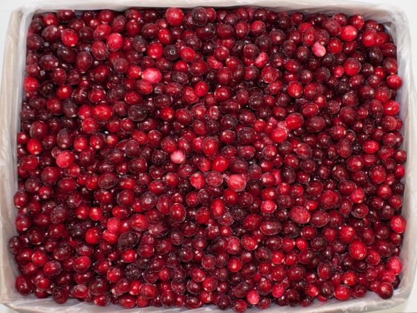 Клюква садовая замороженная