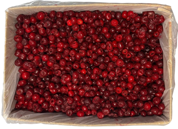 Вишня без кісточки населення заморожена